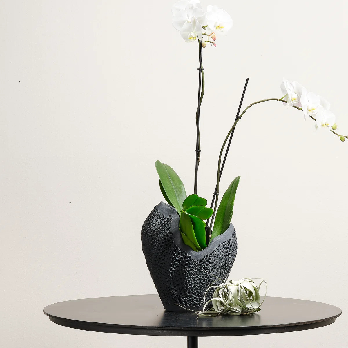 Handmade Ceramic / Porcelain Table Vase | Wayfair North America