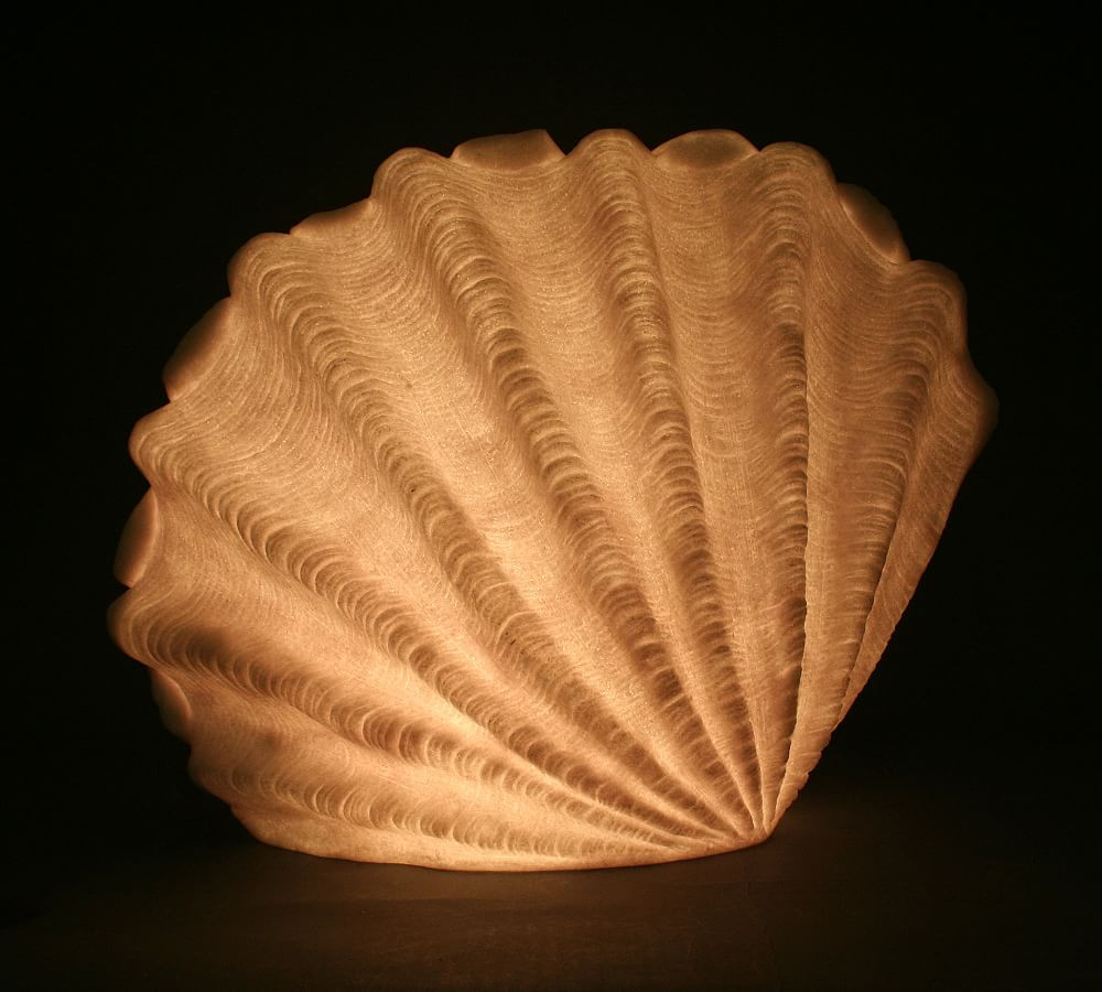 Decorative Lit Frosted Glass Sea Scallop | Pottery Barn (US)