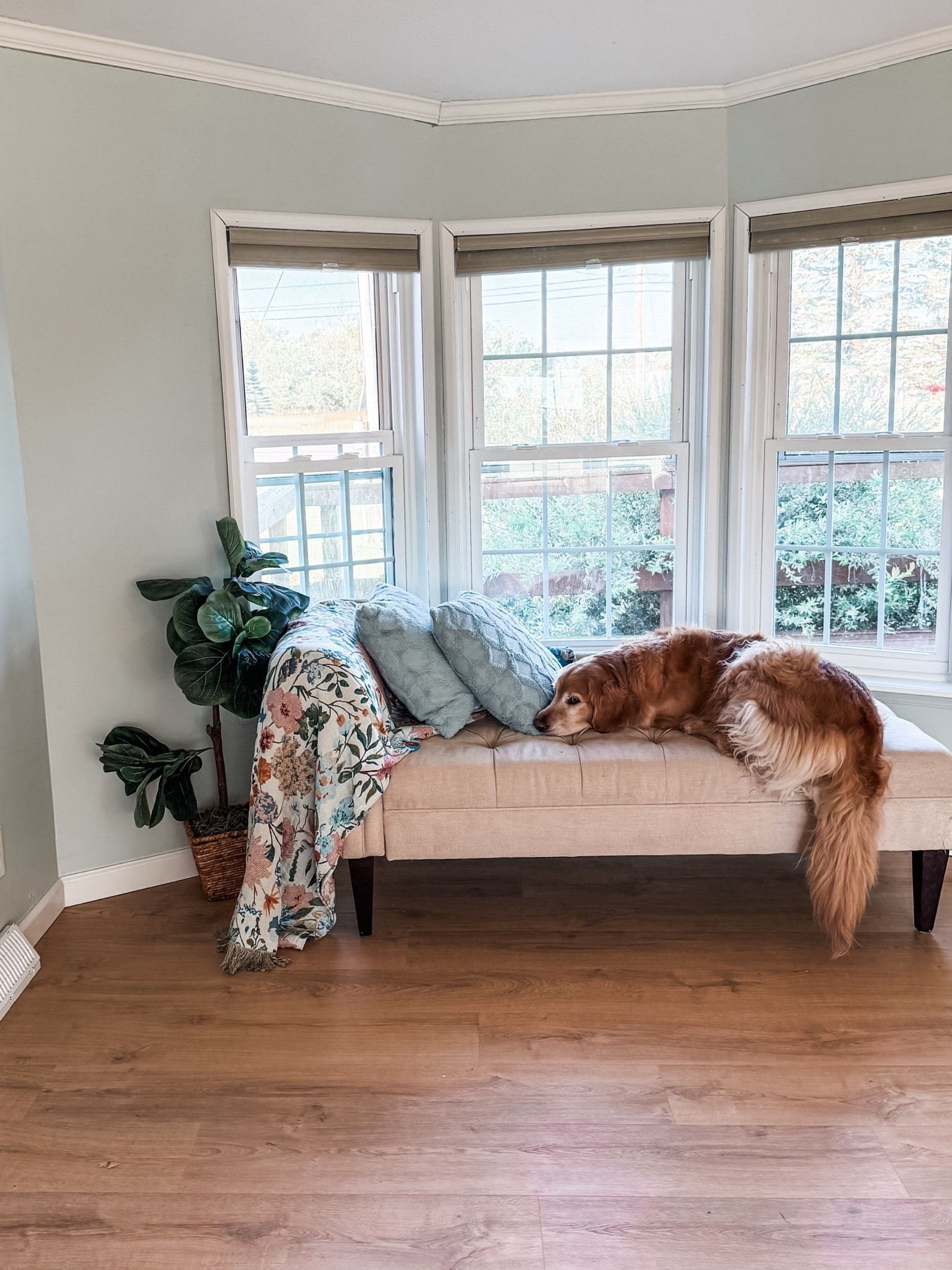Love this throw blanket for spring and summer!

#LTKSeasonal #LTKSaleAlert #LTKHome