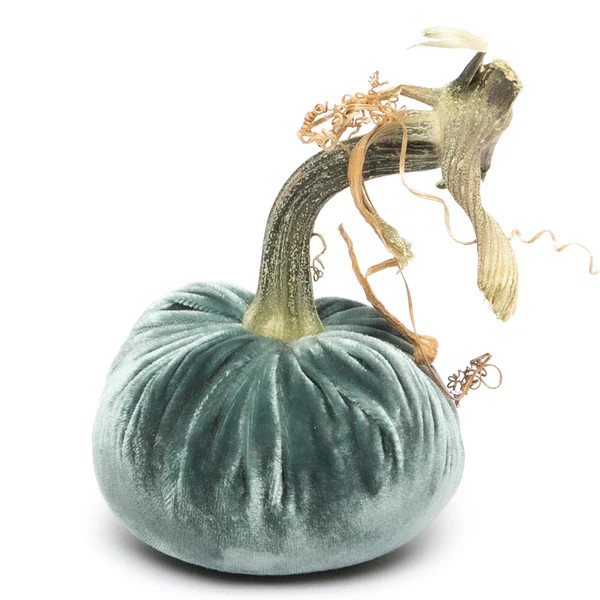 Wedgewood Silk Velvet Pumpkin | Hot Skwash