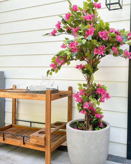 Outdoor faux bougainvillea tree, planter, and bar cart!

#LTKhome #LTKSeasonal #LTKsalealert