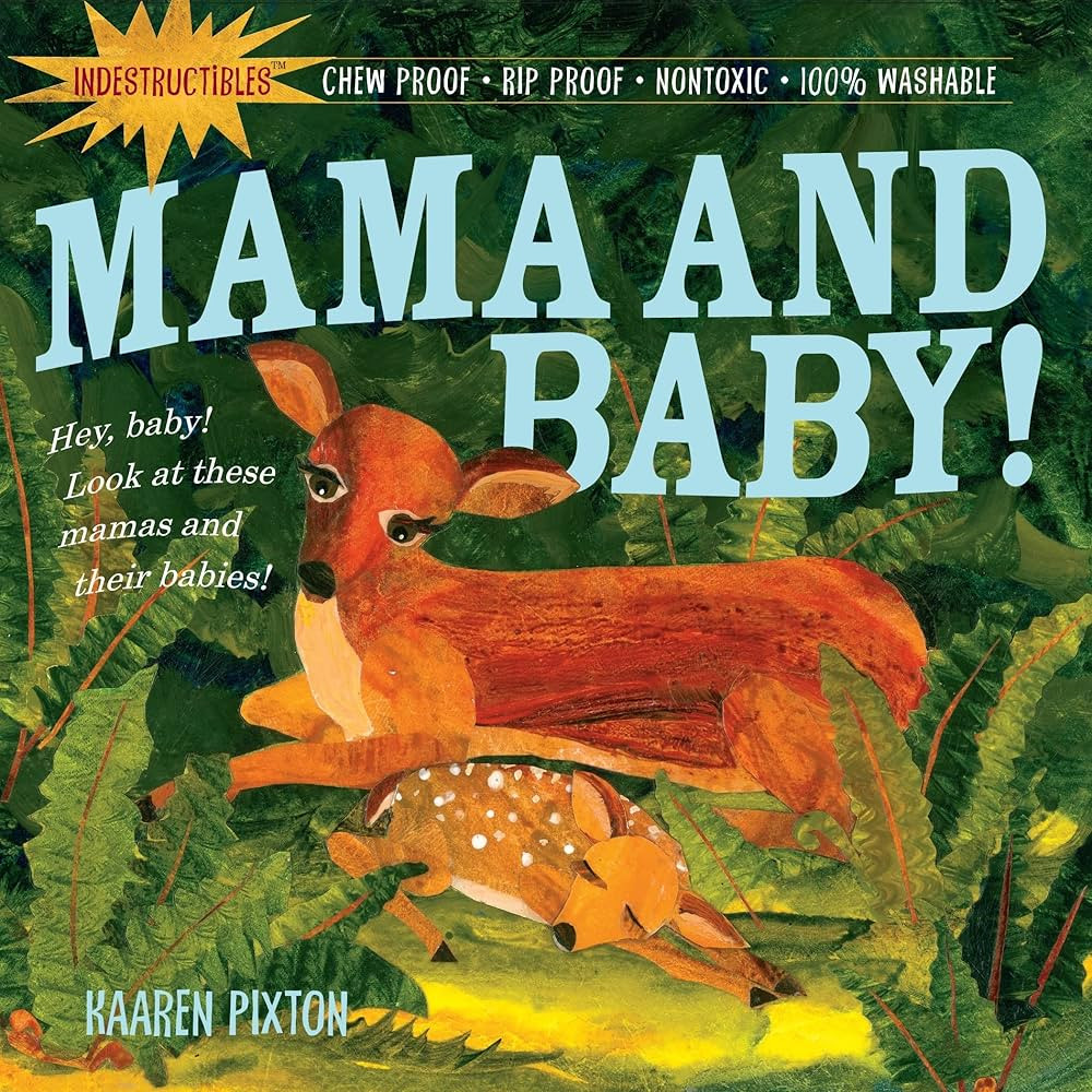 Mama and Baby (Indestructibles) | Amazon (US)