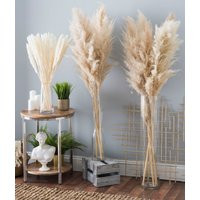 3 Gorgeous High Quality Pampas Grass Stems - Dried Pack Of Preserved Natural Ninezen Wedding Decor | Etsy (US)