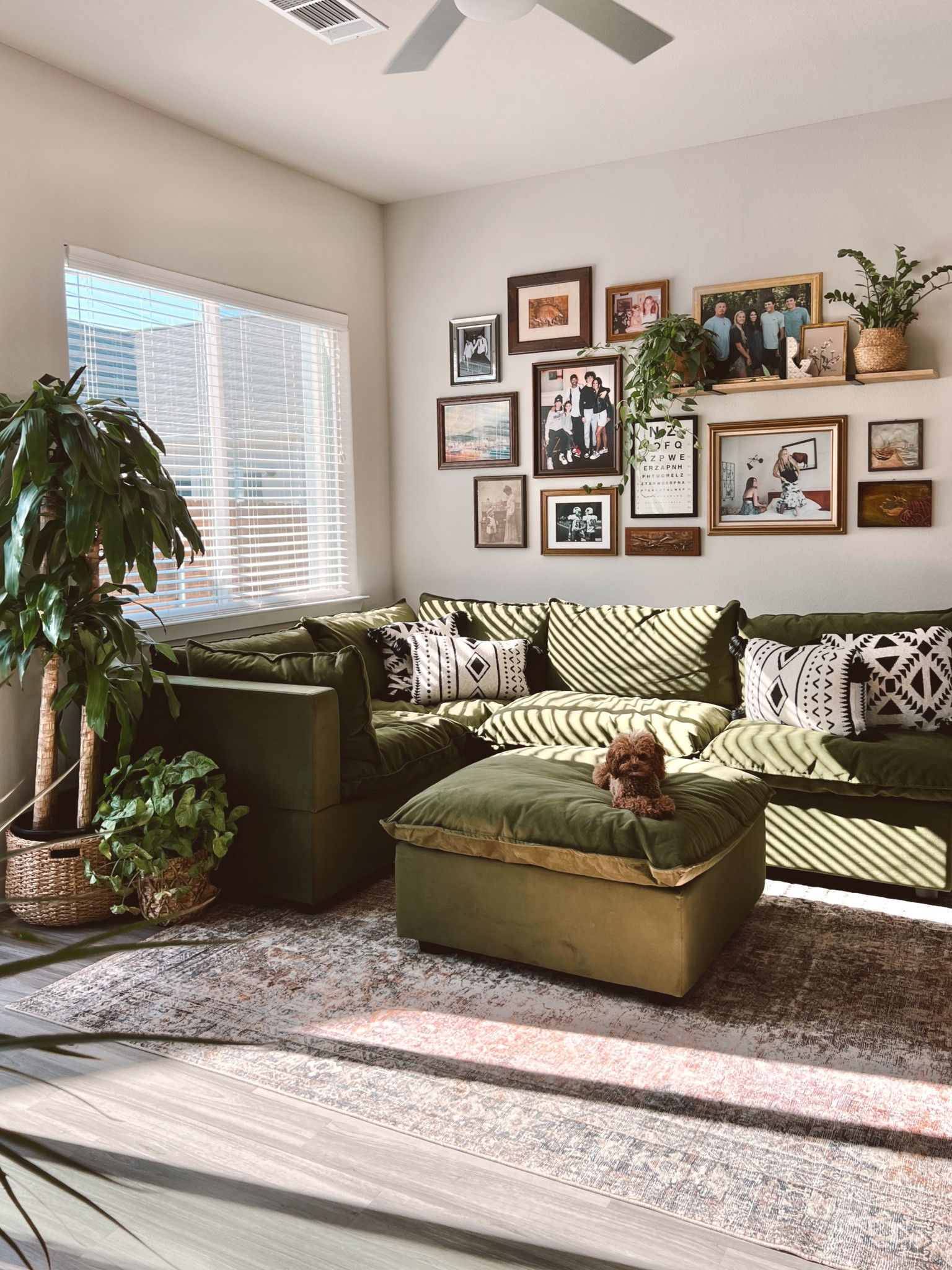Shop my home finds!