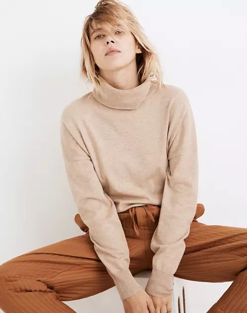 Brookhaven Turtleneck Sweater | Madewell