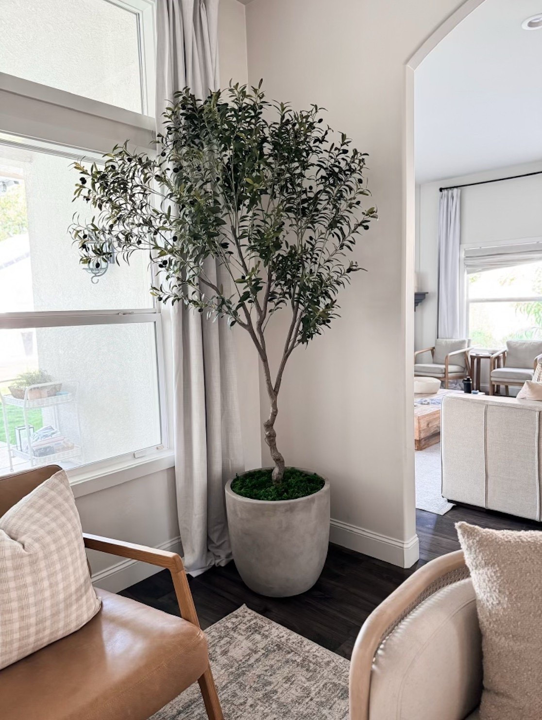 Amazon olive tree! We stacked the olive tree on a box inside the pot and covered with the moss!! 
 
This is the 7’ olive tree, but they come in different sizes! 

Amazon home, Amazon home decor, Amazon home finds, blackout curtains, home decor, essentials for home, olive tree, Etsy, throw pillows, faux tree, chair, living room decor, Britt Horton

#LTKHome #LTKFindsUnder50 #LTKFindsUnder100