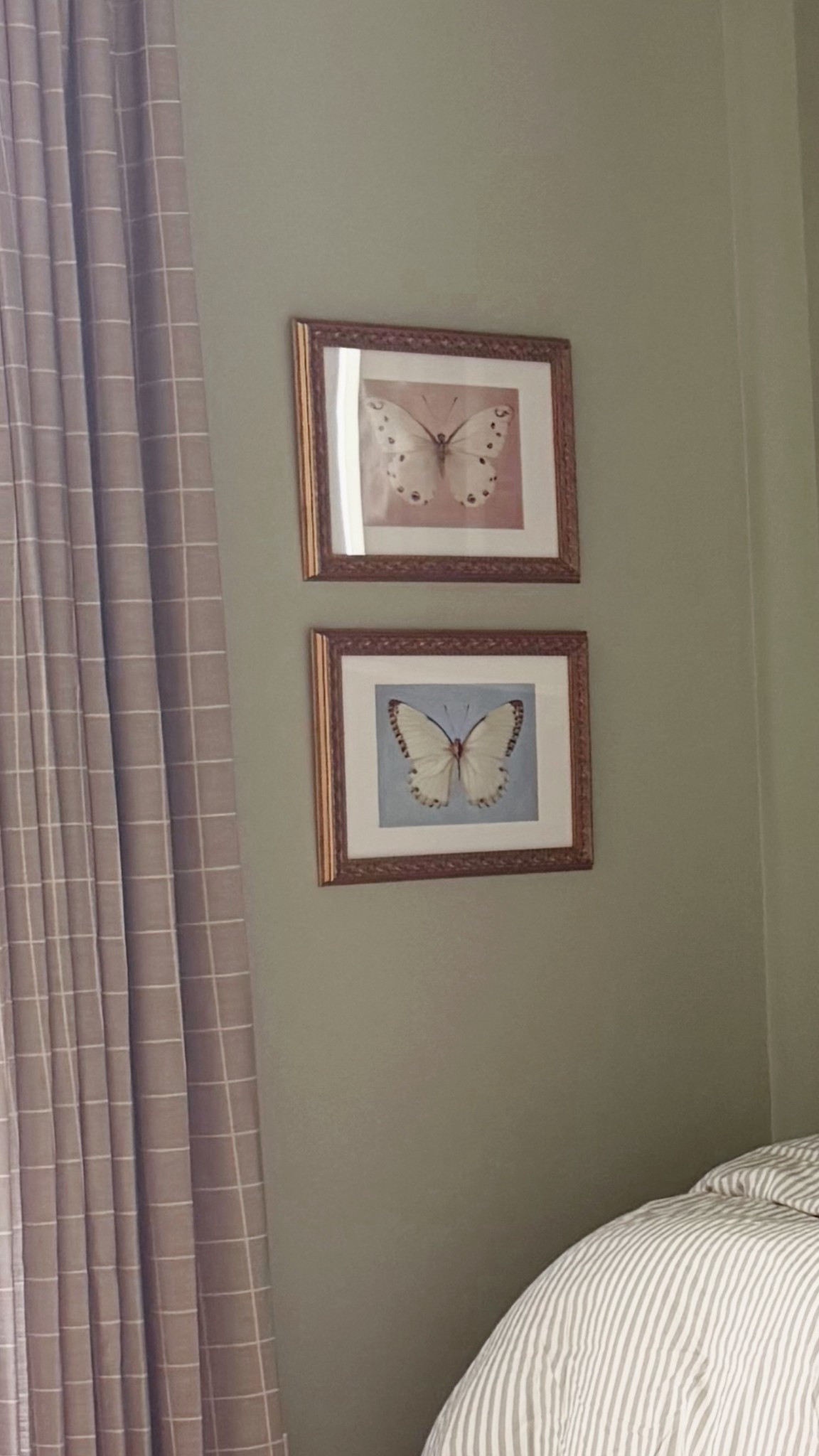 Vintage butterfly prints + frames 

#LTKHome #LTKKids #LTKFindsUnder50