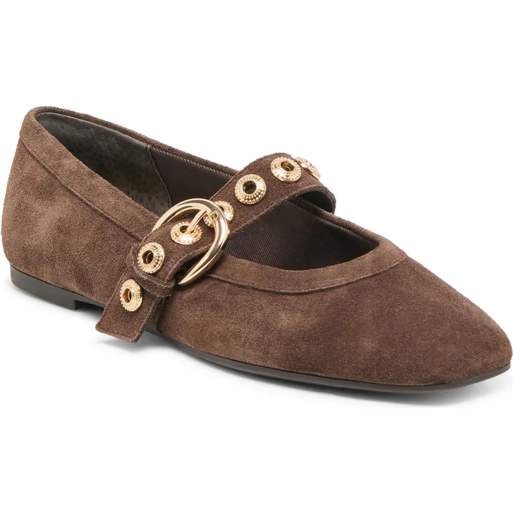 Dolce Vita Marten Mary Jane Ballet Flat in Dark Brown Suede at Nordstrom, Size 7.5 | Nordstrom