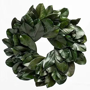 Richland Preserved Magnolia Wreath 17" Home Wedding Rustic Decor | Amazon (US)