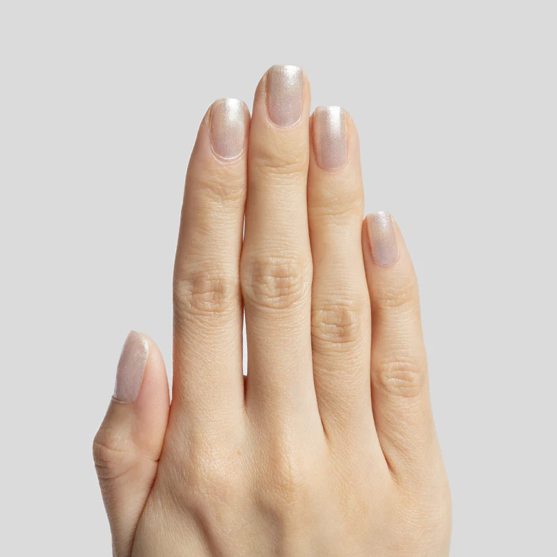 Midnight Disco | Olive & June