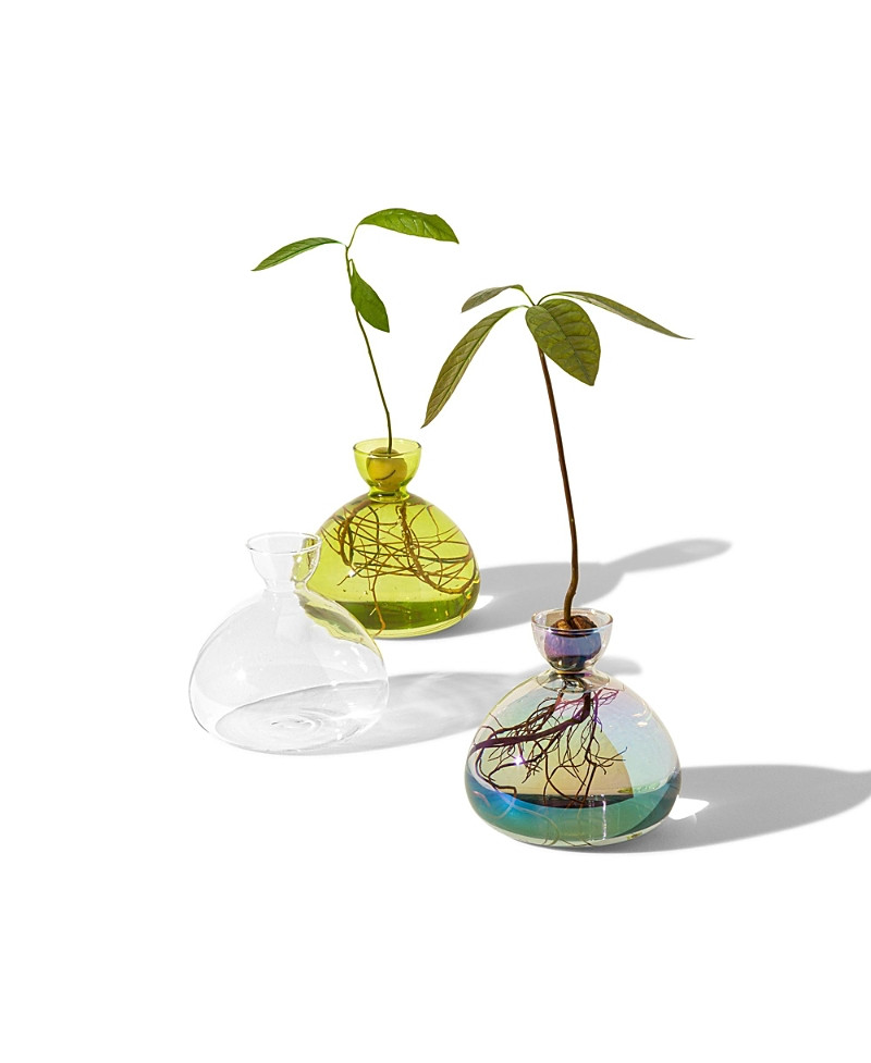 Uncommon Goods Avocado Vase by ilex Studio | Bloomingdale's (US)
