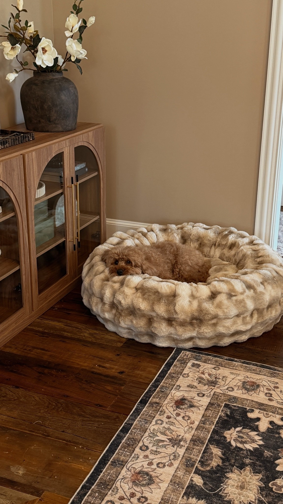 He literally loves this bed! 

Code: LEXIE35 at checkout!