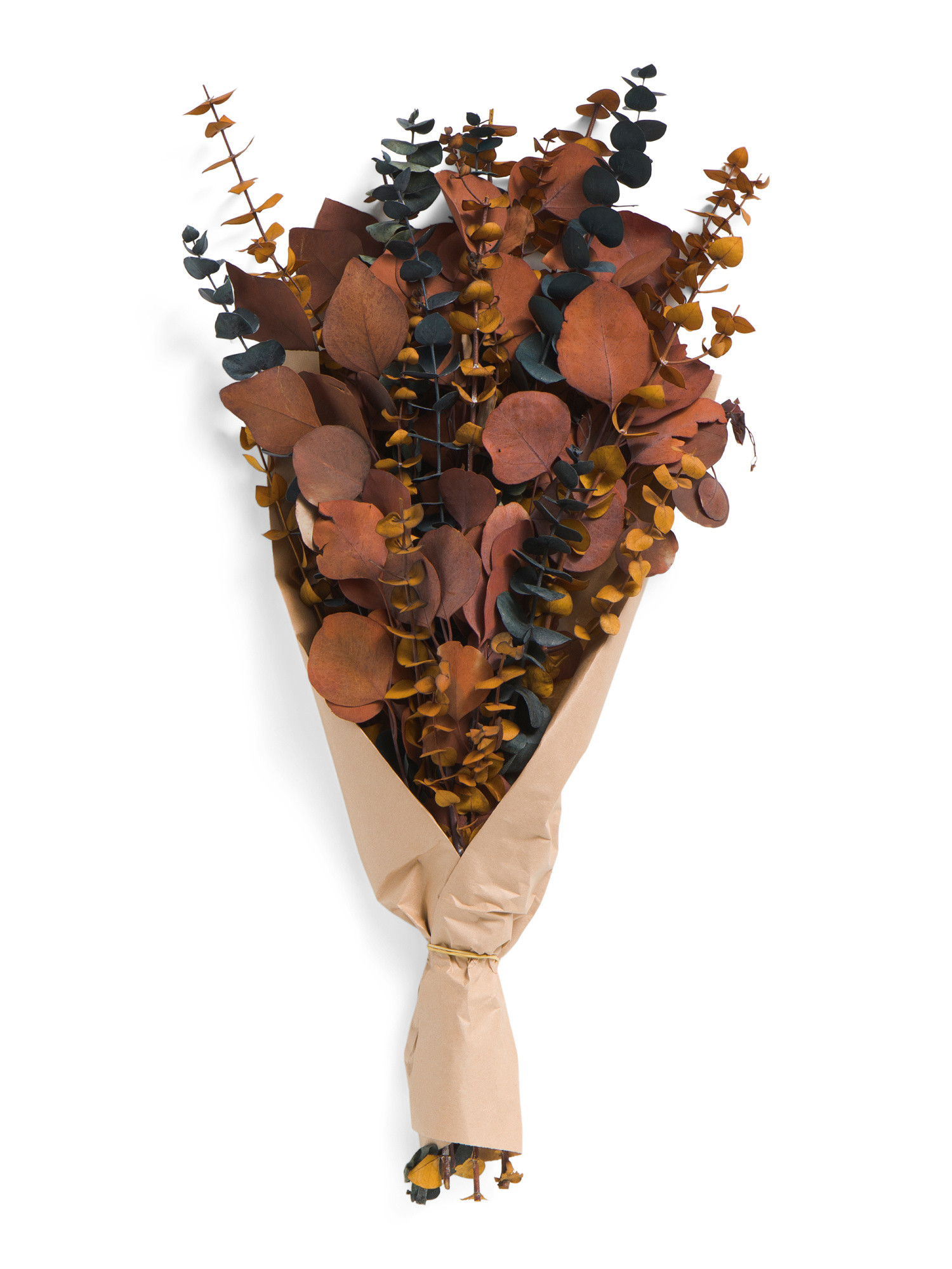 24in Real Preserved Eucalyptus Bouquet | TJ Maxx