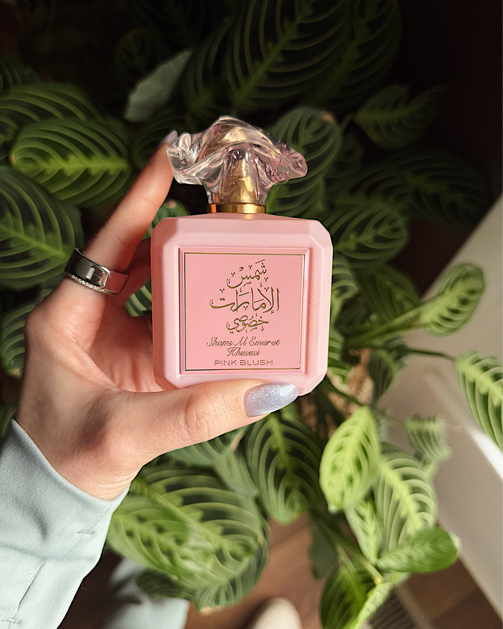 Just finished this bottle of Pink Blush and will hands down be reordering this perfume. Every time I wear this out I get compliments, especially from cashiers across the aisle from me. The projection is unreal and it truly smells so yummy!  This is my favorite marshmallow perfume 💕
Top Notes- raspberry, nectarine, apple
Middle Notes- marshmallow, strawberry, orange blossom, coconut
Base Notes - sugar, whipped cream, vanilla 

#LTKFindsUnder50 #LTKselfcare #LTKBeauty