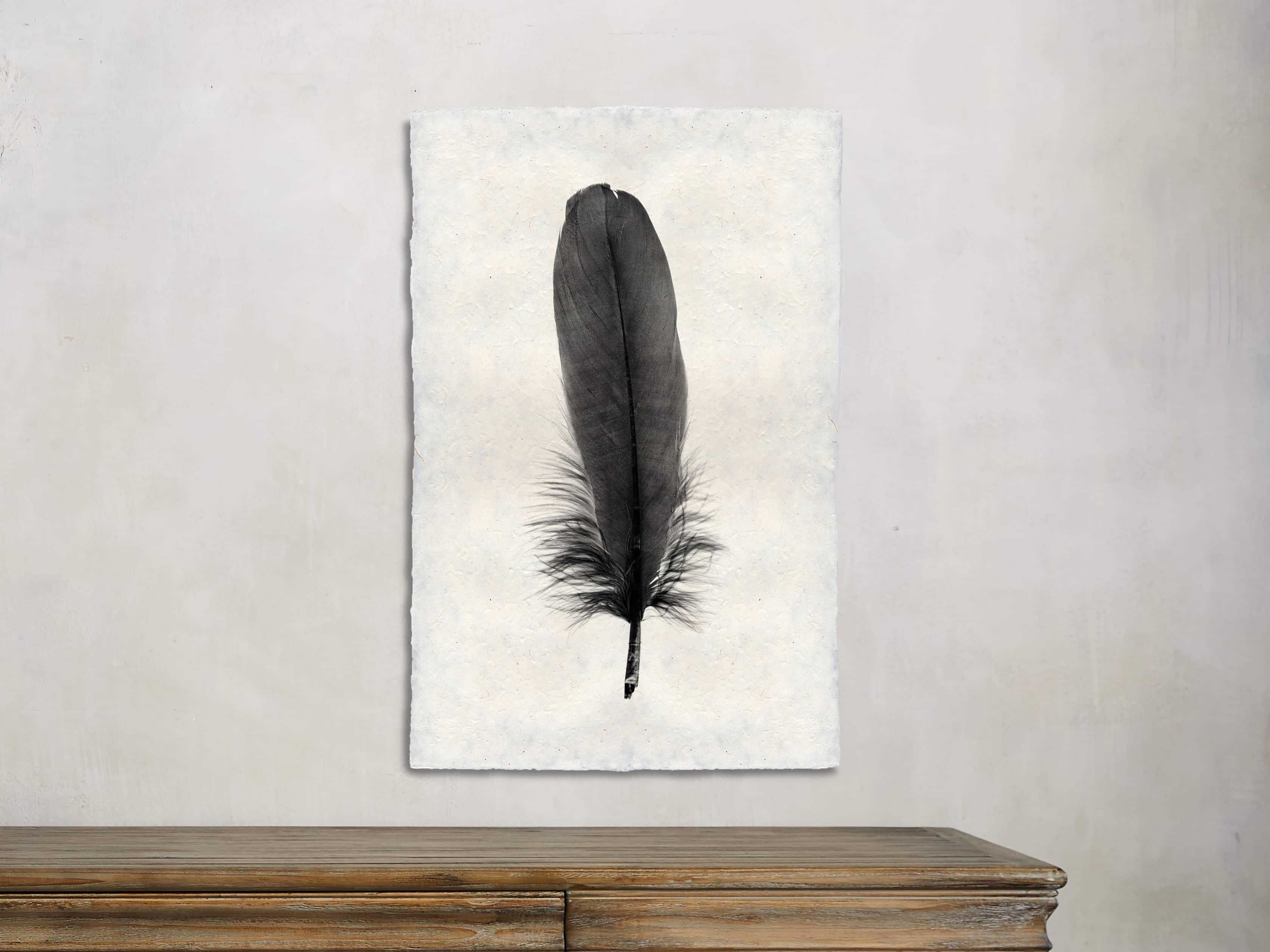 Feather Study Print VI | Arhaus