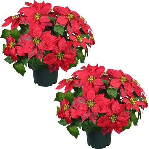 QIANYUN Artificial Christmas Flowers Topiary – 20” Pre-Assembled Potted Flowers for Christmas Decor, Front Doors, Hallways, Yards, Gardens and Outdoor Spaces | Amazon (US)