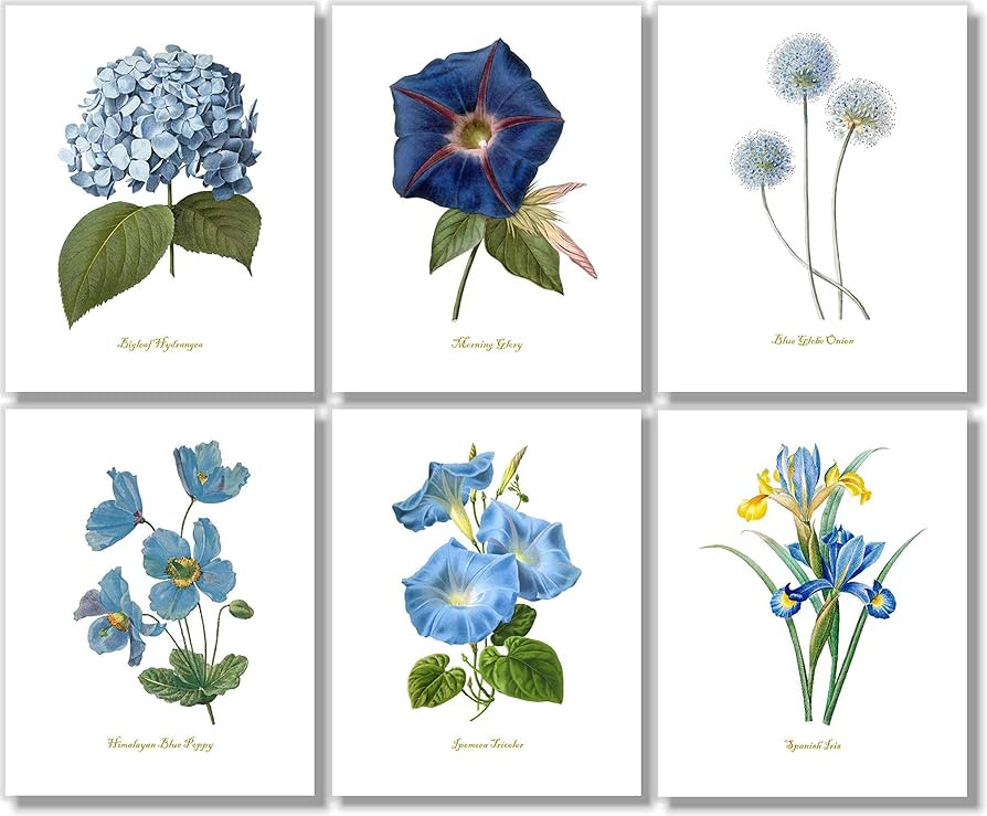 Blue Flower Wall Art - Vintage Floral Wall Decor - Botanical Prints - 8x10 - Set of 6 - Unframed | Amazon (US)