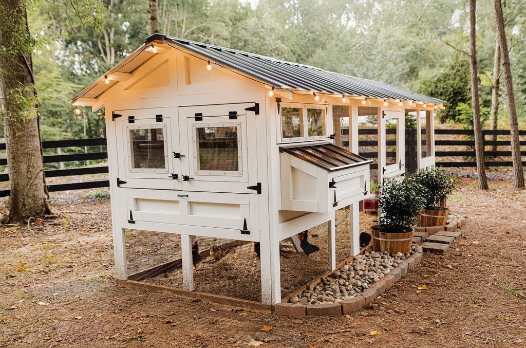 Proof that beautiful design belongs everywhere — even the chicken coop 🤍✨

Soft neutrals, warm lighting, and fresh greenery bring that Modern Classic feel outdoors. It’s not just a backyard — it’s a lifestyle. 🌾

#porcheandco #modernclassic #backyardinspo #farmhousevibes #chickencoopdesign #outdoorliving #neutralhome #warmneutrals #modernclassicinterior #timelessinteriors #interiorstyling #homedecor #countryliving #cozyoutdoorstyle #gardenlife

Do you want to bring our dreamy Modern Classic style interior design into your own home? 🏡 You’re in luck! Reserve our Online Interior Design packages today -> https://porcheandco.com/edesign ✨ We can’t wait to work with you & design your home with #porcheandco


#LTKBeauty #LTKHome #LTKStyleTip