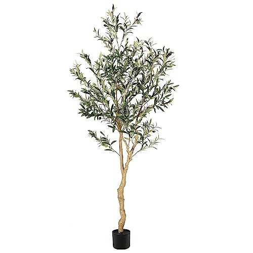 Realead 6ft Faux Olive Tree, Tall Olive Tree Plants, Fake Potted Olive Silk Tree, Artificial Olive Trees for Modern Home Office Living Room Floor Decor Indoor | Amazon (US)
