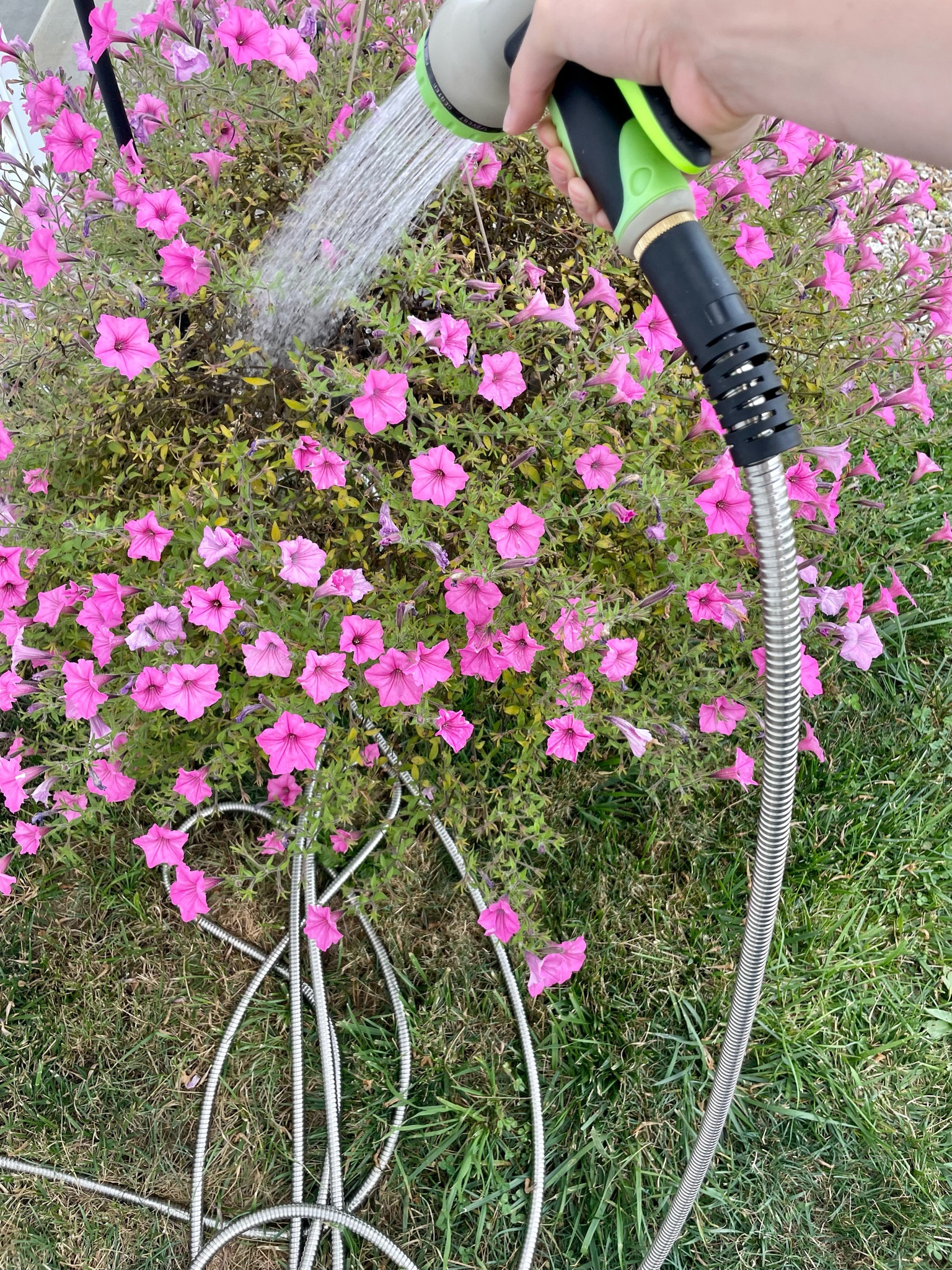 The best thing I’ve ever bought for my yard: a metal hose! No more tangles + kinks!



Amazon finds 
Garden finds 
Amazon must haves 
Garden decor 

#LTKhome #LTKunder50 #LTKFind