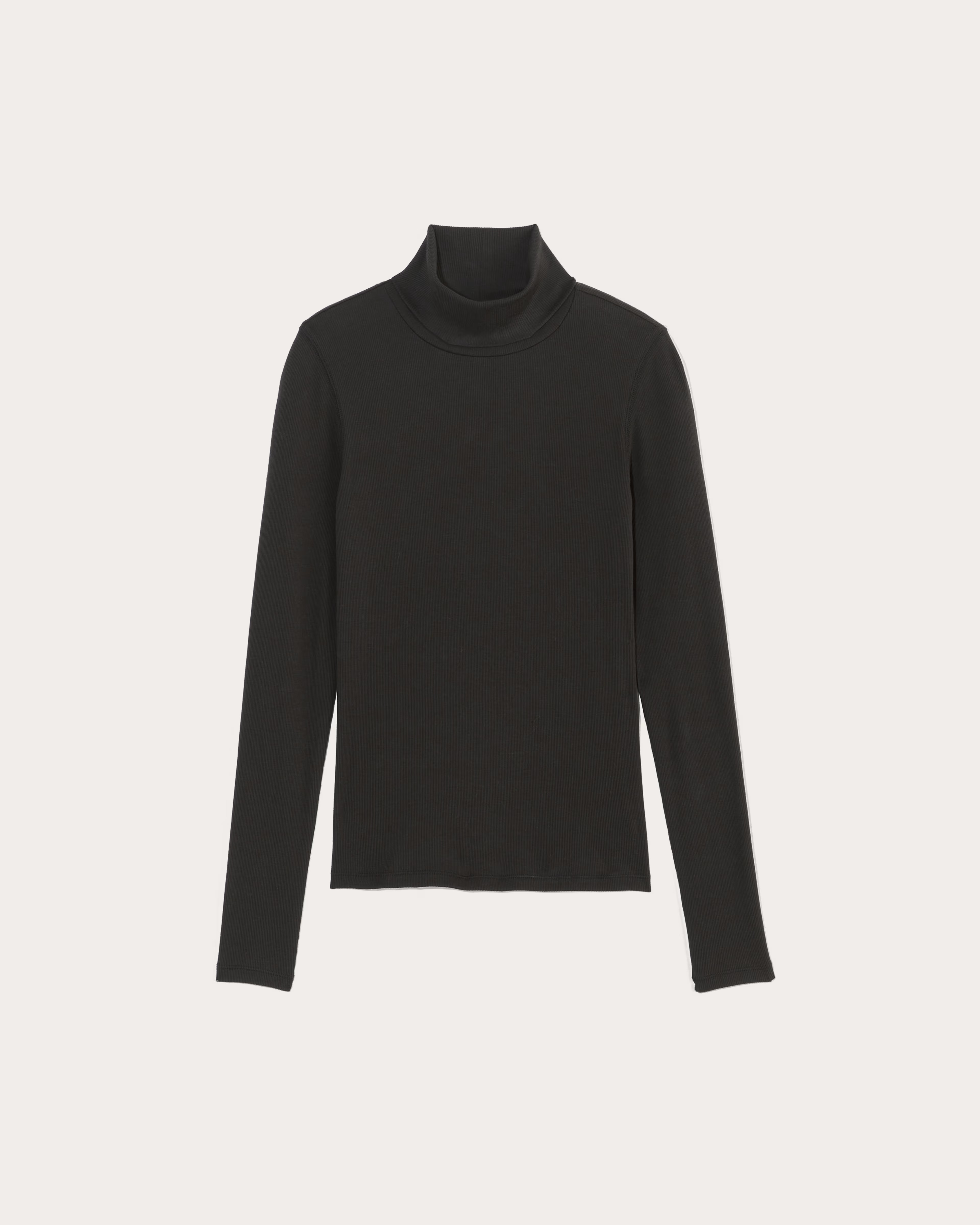 The Luxe Rib Turtleneck | Everlane