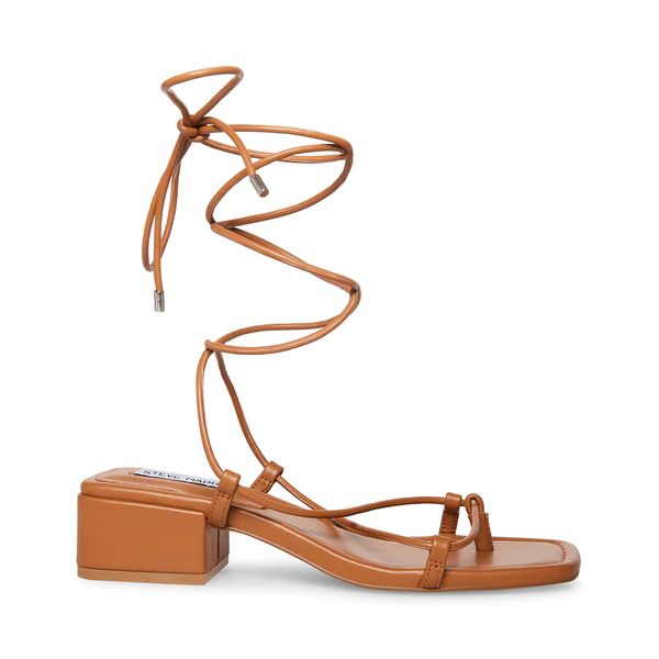 CLAREMONT DARK TAN | Steve Madden (US)