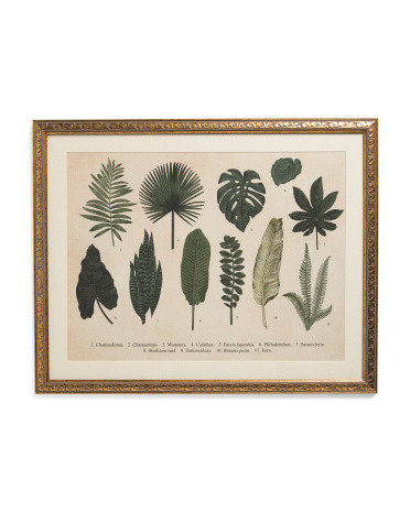 25x20 Type Leaves Grachi Framed Wall Art | Home | Marshalls | Marshalls