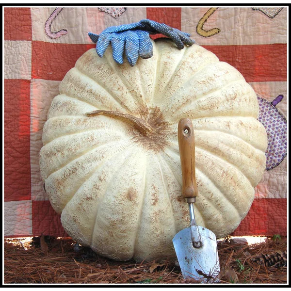 Jumbo Pumpkin | Wayfair Professional