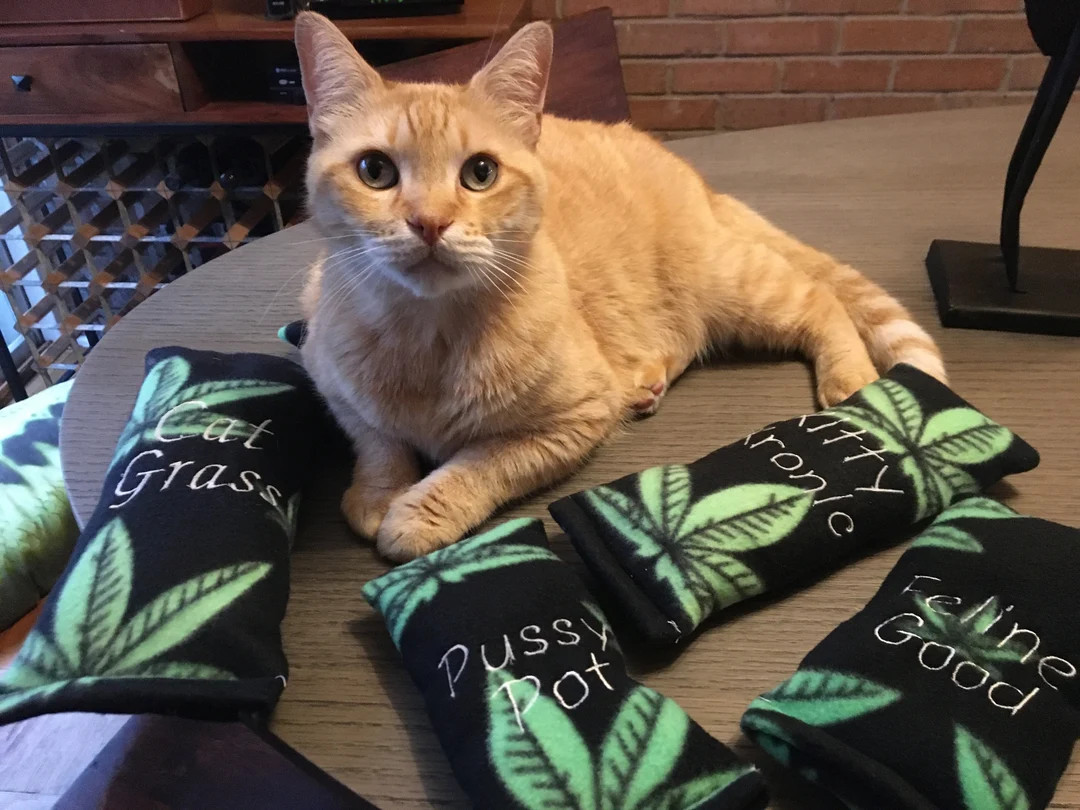 Chill Kickers | Etsy (US)