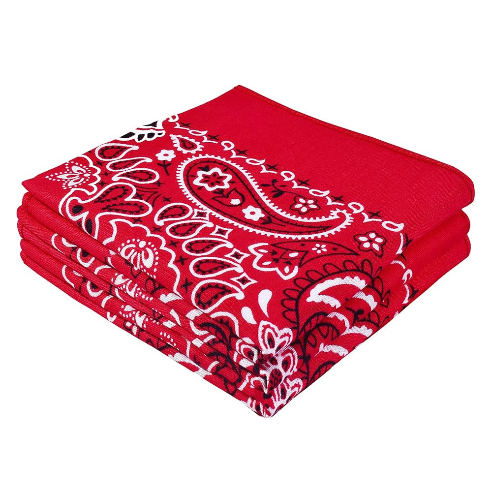Classic Paisley Bandanas - 3 Pack Gift Set, 100% Cotton, 22x22 Inches | Amazon (US)