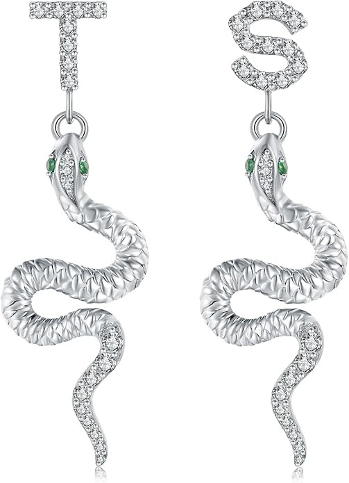 Snake Dangle Earrings for Women，T&S Jewelry Snake Earrings, T&S Earrings Silver Outfit For Eras... | Amazon (US)