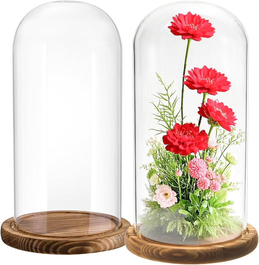 2 Pack Glass Cloche Display Dome, 10 Inch Large Decorative Glass Bell Jar, Clear Dome Showcase wi... | Amazon (US)