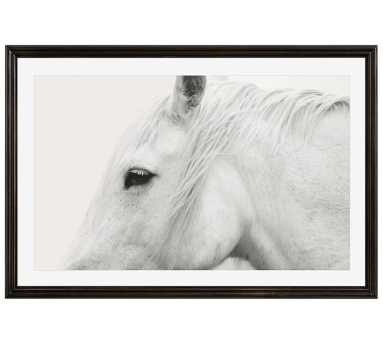 White Horse Framed Print by Jennifer Meyers | Pottery Barn (US)