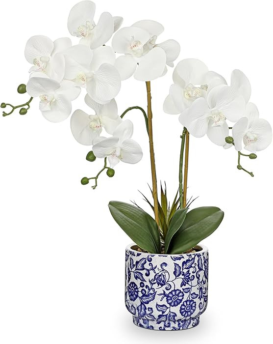 Briful Orchid Artificial Flowers 19.6in White Orchid Silk Floral Arrangement with Blue and White ... | Amazon (US)