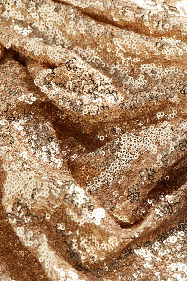 Sequined Skirt | H&M (US + CA)