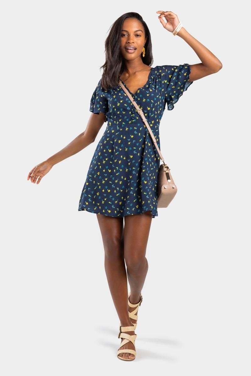 Palmer Ditsy Floral Dress | Francesca’s Collections