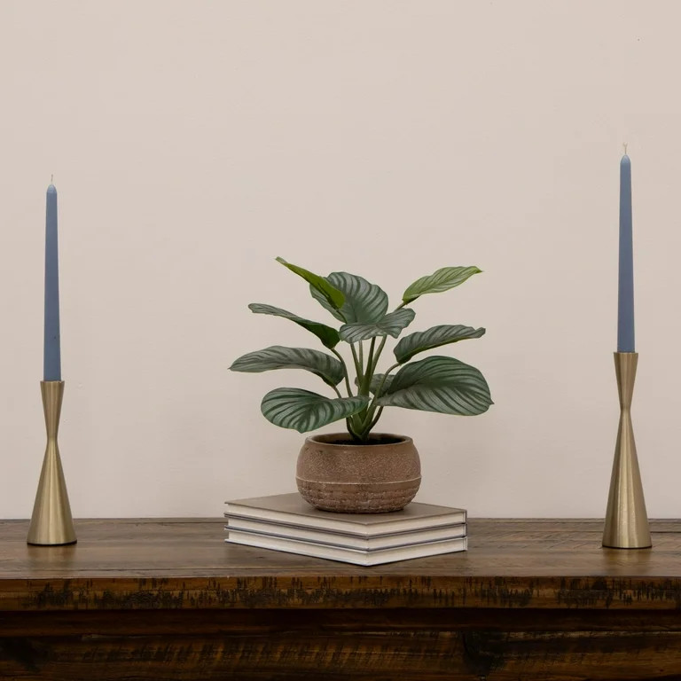 Better Homes & Gardens 9.5"H Artificial Indoor Calathea in Stone Planter | Walmart (US)