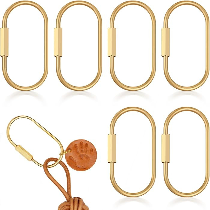 Brass Gold Key Ring, 6PCS Solid Gold Keychain, Screw Lock Keychain Organizer, Used for Car Key, B... | Amazon (US)