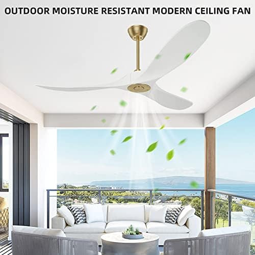 CLUGOJ White Ceiling Fan With Remote Control Modern Ceiling Fan for Indoor/Outdoor Noiseless Energy  | Amazon (US)