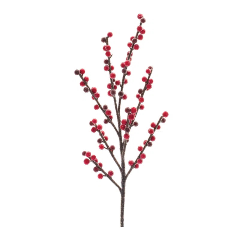 Berry Arrangement | Wayfair North America