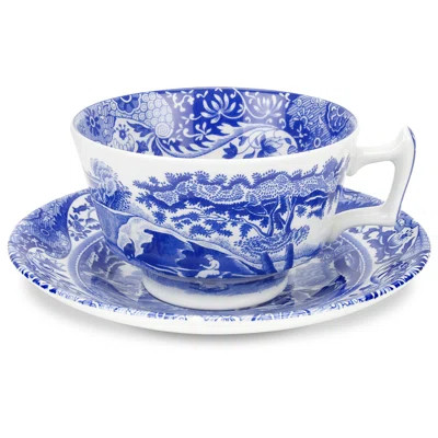 Blue Italian Teacup & Saucer Spode | Wayfair North America