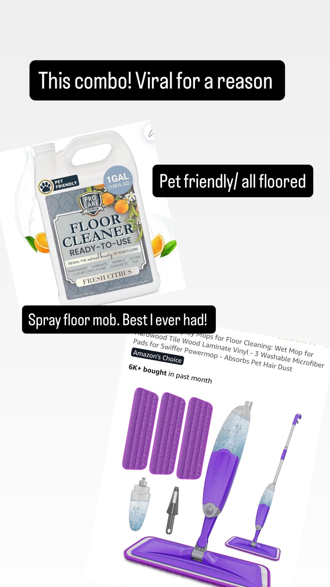 Floor cleaning.  Easy amd pet friendly 