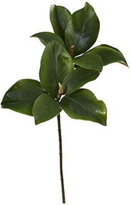 Nearly Natural 24in. Magnolia Artificial Leaf (Set of 6) Silk Flowers, Green | Amazon (US)