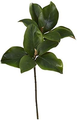 Nearly Natural 24in. Magnolia Artificial Leaf (Set of 6) Silk Flowers, Green | Amazon (US)