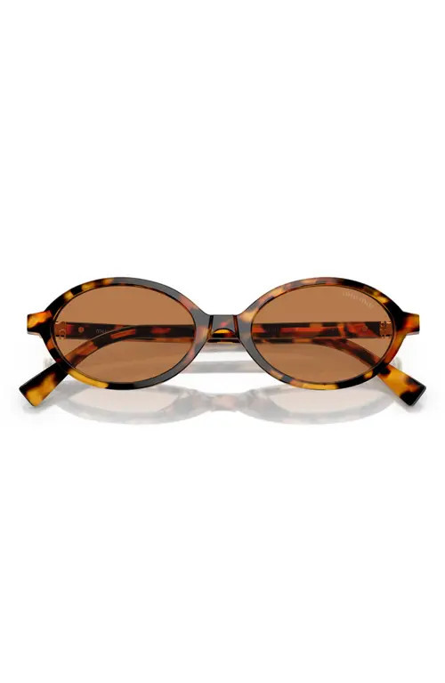 Miu Miu 50mm Oval Sunglasses in Lite Havana at Nordstrom | Nordstrom