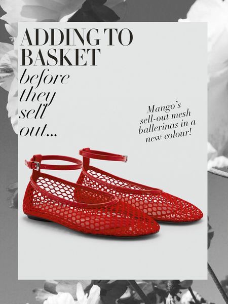 I’m obsessed with the red version of these fab mesh ballerinas from Mango 🌹🌹
Mesh shoes | Studded ballerinas | Alaïa dupes | Sheer ballet flats | Spring shoes | Red mesh shoes 

#LTKsummer #LTKstyletip #LTKshoes
