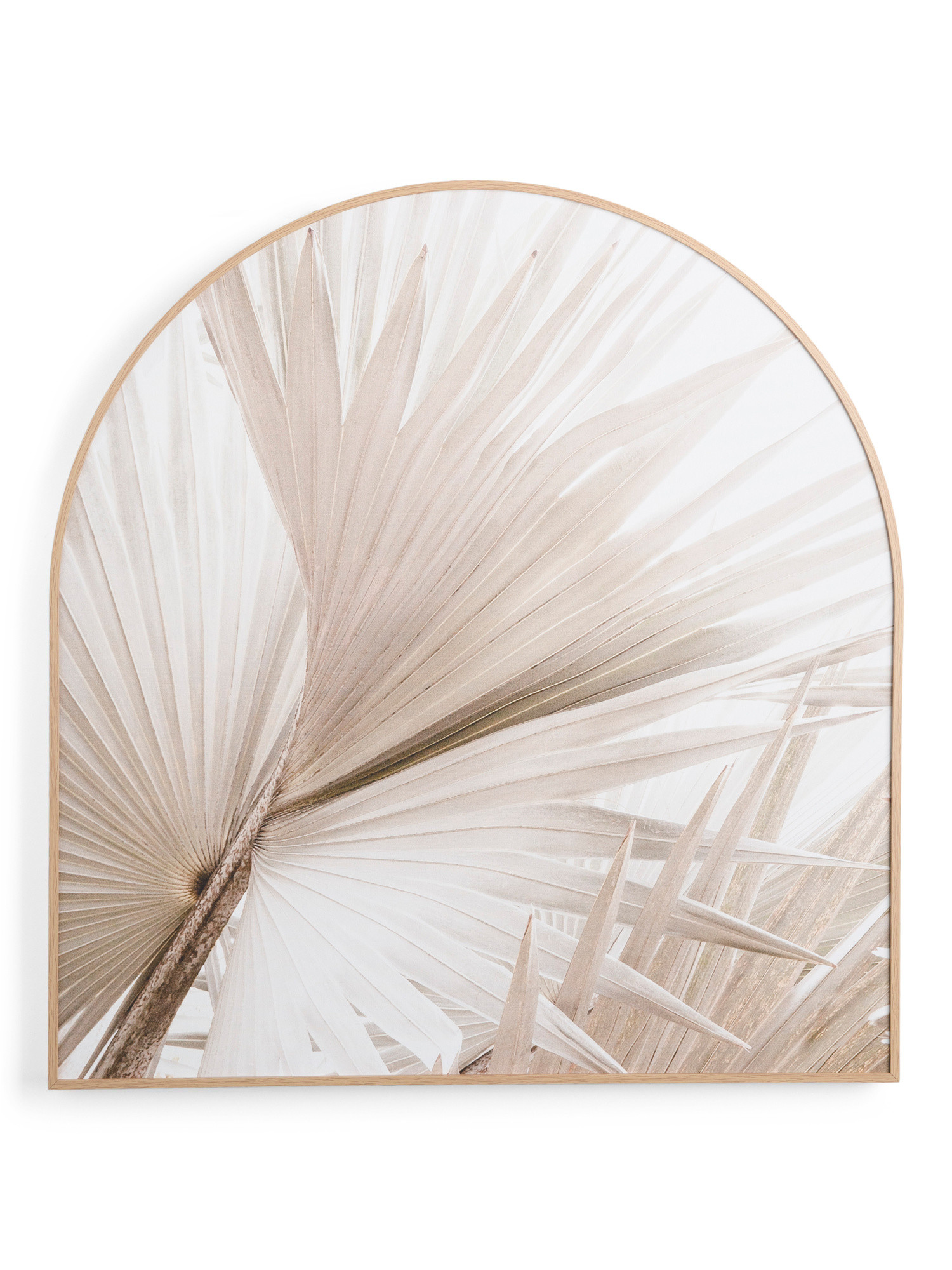 32x34 Natural Palm Framed Arch Wall Art | TJ Maxx
