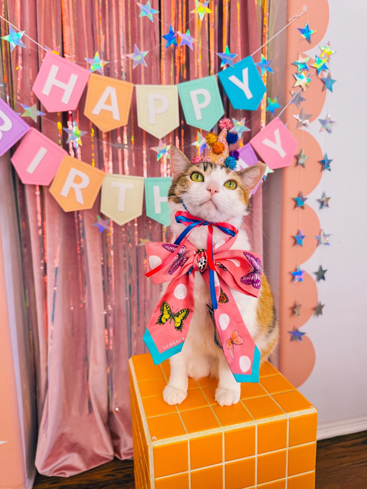 Pony’s birthday presents!! 🎂🎉🐾💖

#cat #cattoy #catnip