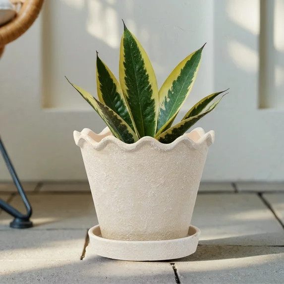 My Texas House Wave Ceramic Planter Pot, Cream, 8 inch | Walmart (US)