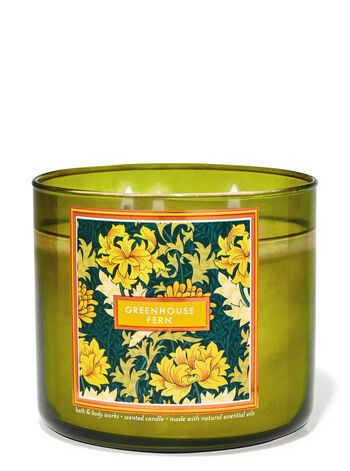 Greenhouse Fern


3-Wick Candle | Bath & Body Works